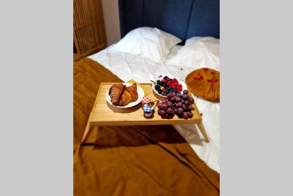 Arty Jaccuzi&spa Centre De Gamme Appartement Mulhouse