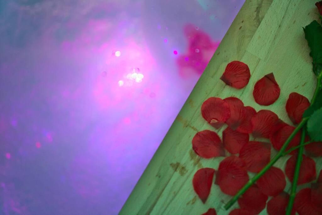 Arty Jaccuzi&spa Centre De Gamme *